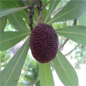 常州便民信息