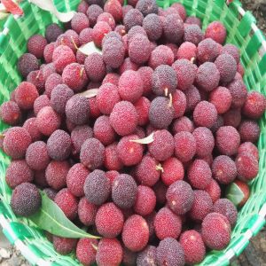 常州便民信息